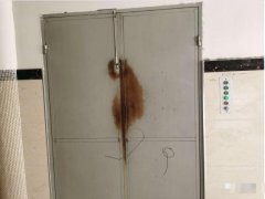 “电梯”切忌贪便宜，这种“电梯”万万用不得